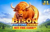 Bison Fortune Coins